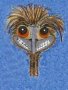Grinning Emu Face